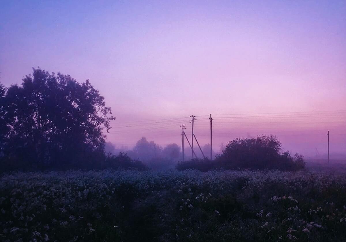 长期评论:蜜桃传媒app的可能性