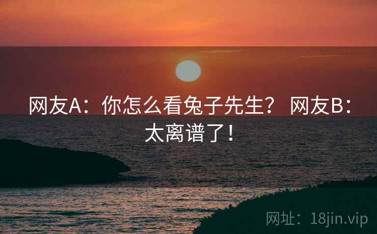 网友A:你怎么看兔子先生? 网友B:太离谱了! 网友A:你怎么看兔子先生? 网友B:太离谱了!