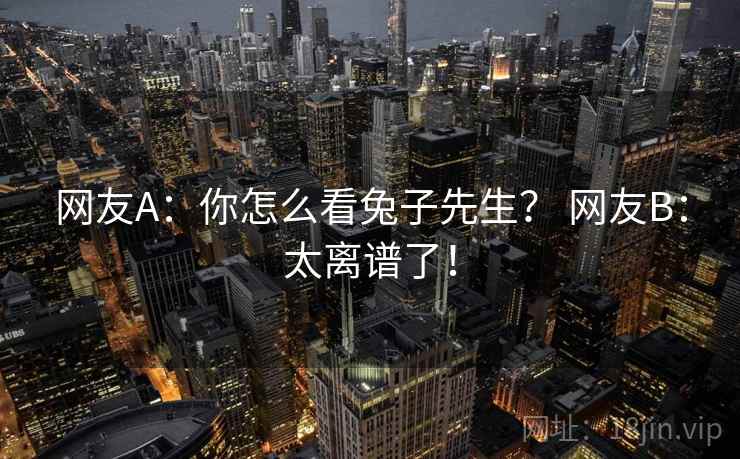 网友A:你怎么看兔子先生? 网友B:太离谱了! 网友A:你怎么看兔子先生? 网友B:太离谱了!