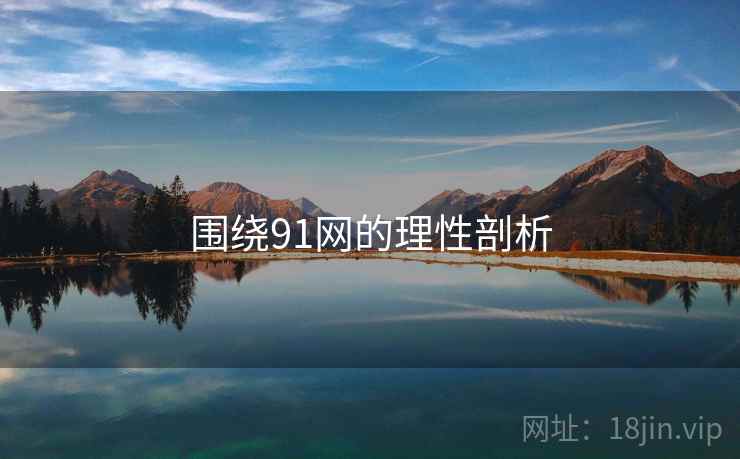 围绕91网的理性剖析 围绕91网的理性剖析