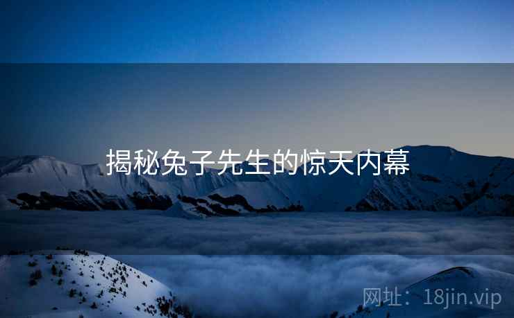 揭秘兔子先生的惊天内幕 揭秘兔子先生的惊天内幕