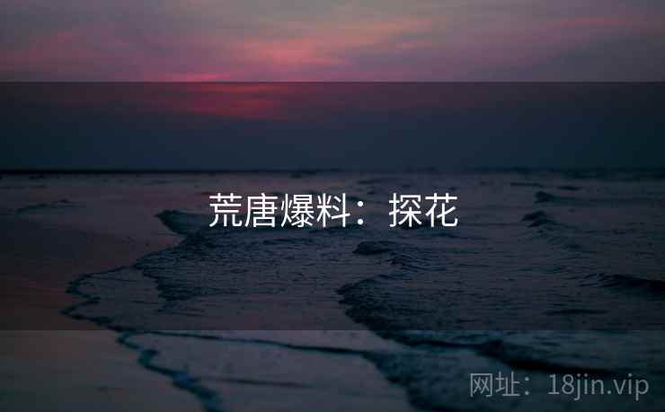 荒唐爆料:探花 荒唐爆料:探花