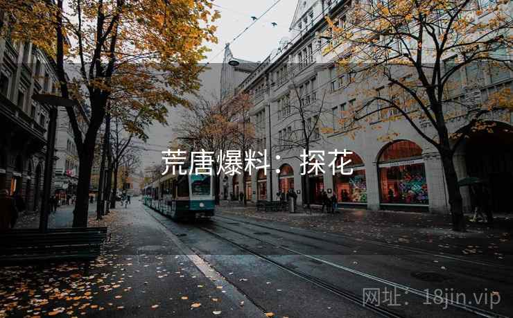 荒唐爆料:探花 荒唐爆料:探花