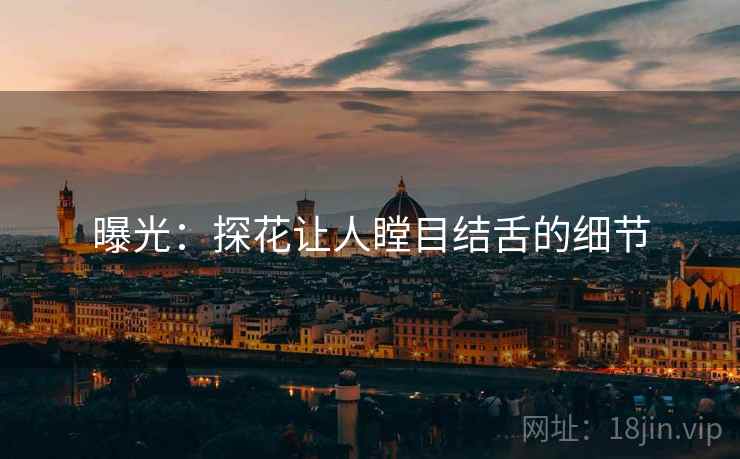 曝光:探花让人瞠目结舌的细节 曝光:探花让人瞠目结舌的细节