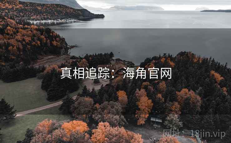 真相追踪:海角官网
