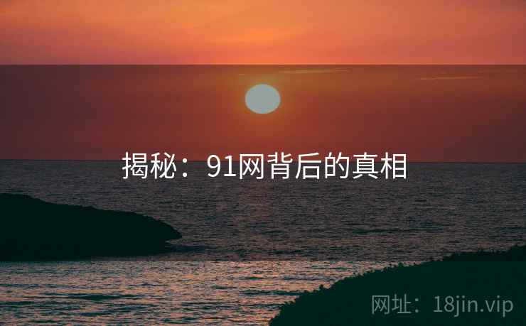 揭秘:91网背后的真相