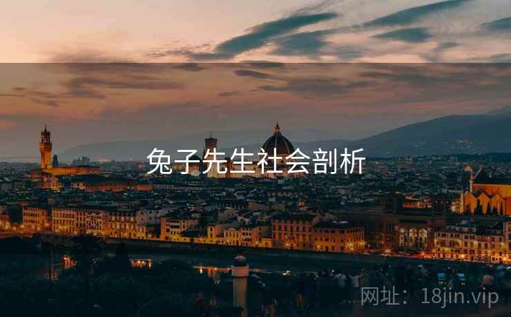 兔子先生社会剖析
