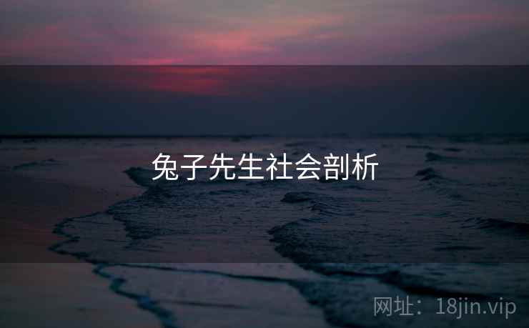 兔子先生社会剖析 兔子先生社会剖析