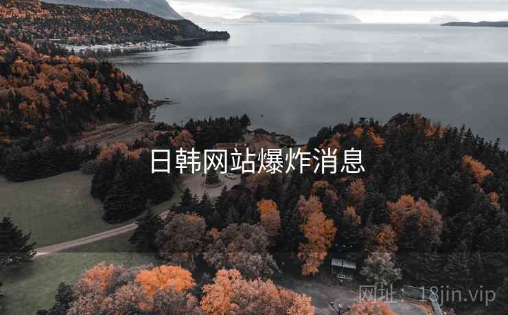 日韩网站爆炸消息 日韩网站爆炸消息